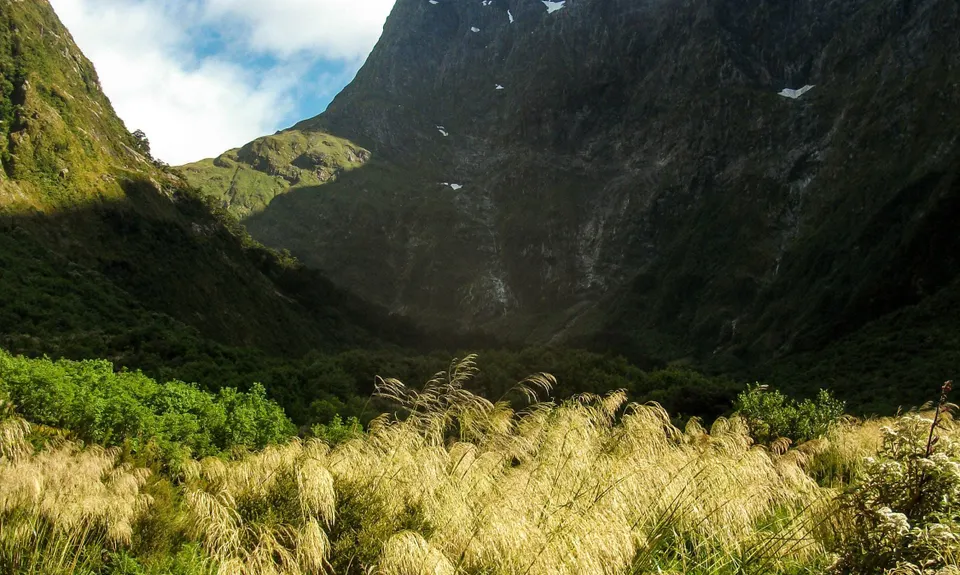 Milford Track , Southland