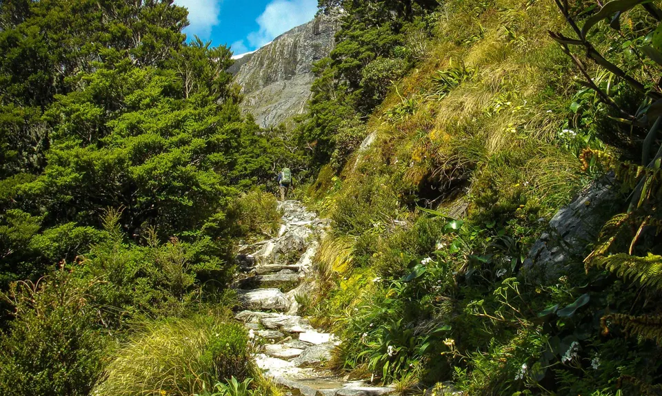 Milford Track , Southland