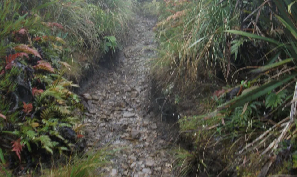 Little Mount Peel, Canterbury