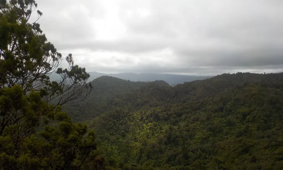 Kaitarakihi Summit, Waikato