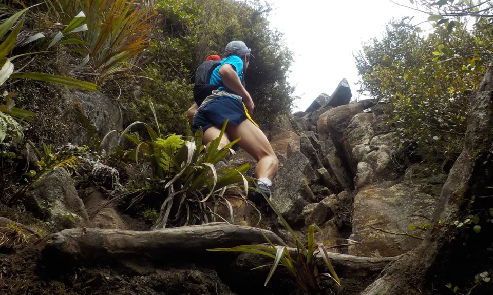 Kaitarakihi Summit, Waikato