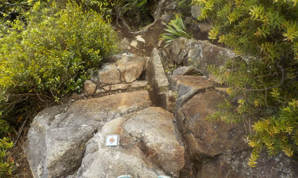 Kaitarakihi Summit, Waikato