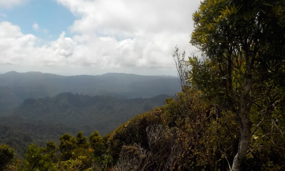 Kaitarakihi Summit, Waikato