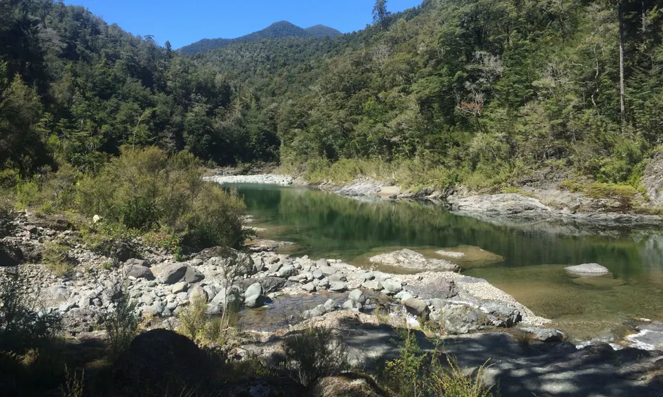 Dun Mountain Traverse, Nelson