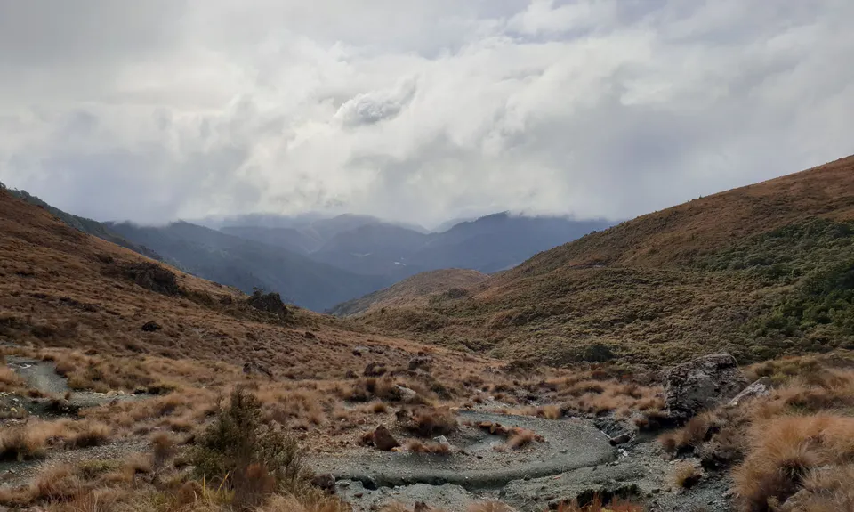 Dun Mountain Loop, Nelson