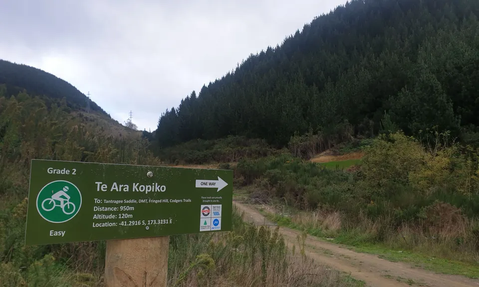 Dun Mountain Loop, Nelson