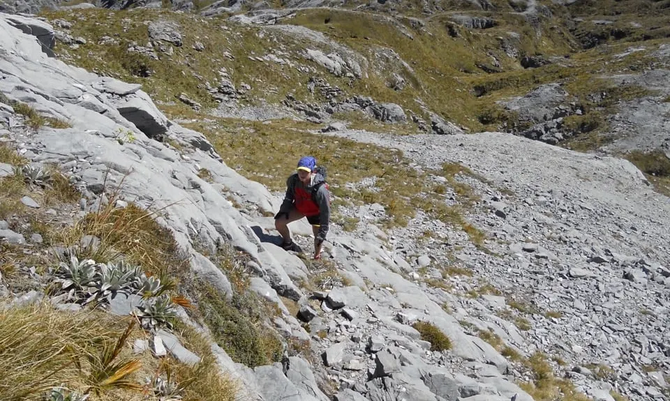 Salisbury over Arthur, Tasman