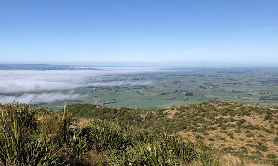 Croydon Bush - Richardson loop, Southland