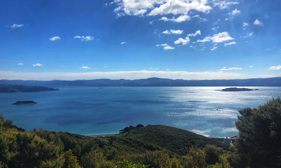 Butterfly Creek Loop, Wellington