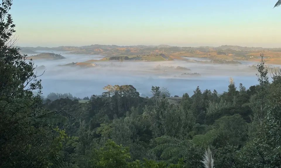 Wairoa Suspension Loop, Auckland