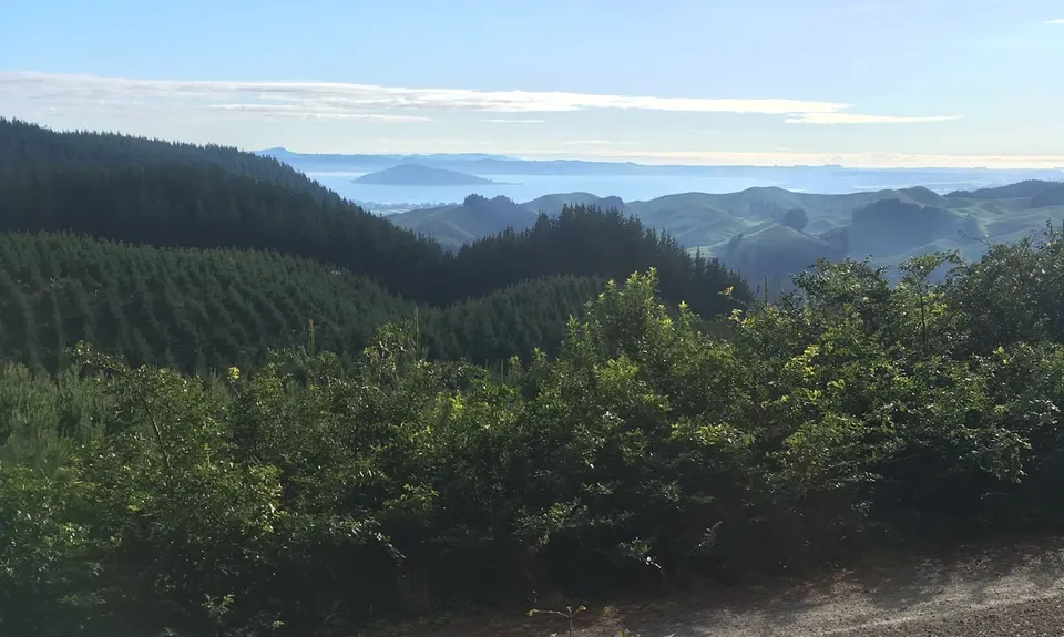 Fat Man's Run, Bay of Plenty
