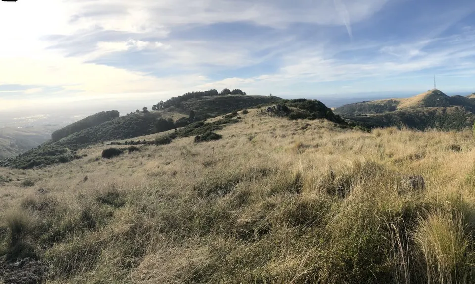 Bird to Bird, Canterbury