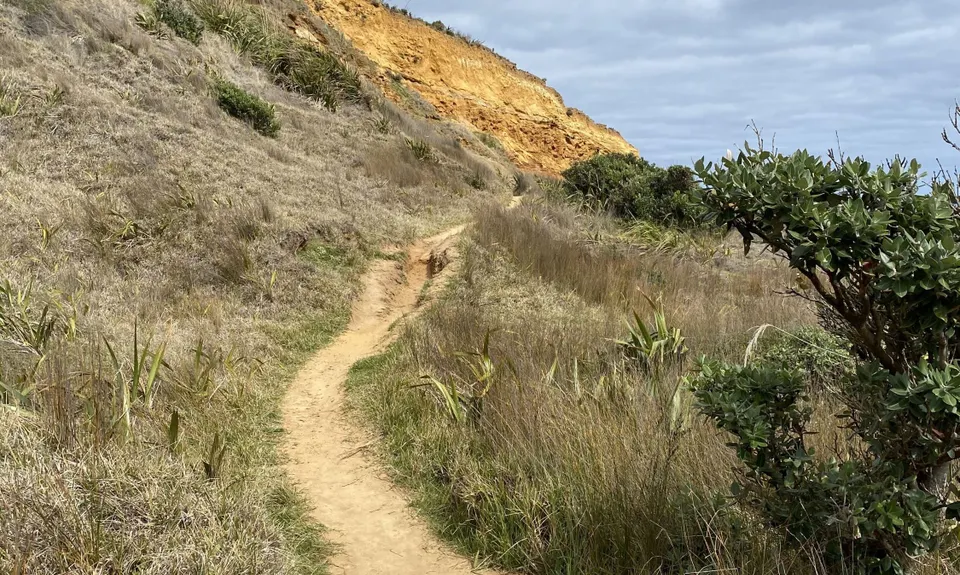 Te Henga Trail, Auckland