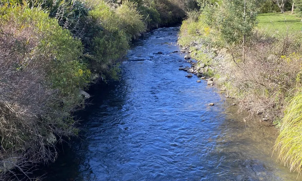 Ohakune Town/Forest Loop, Manawatu - Wanganui