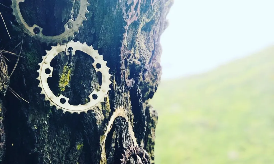 Makara Peak Grand Loop, Wellington
