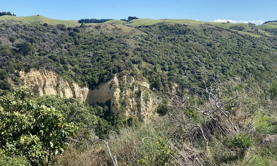 Tweedies Gully New Track, Canterbury