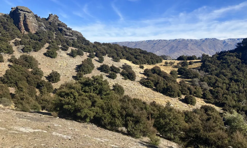 Welshtown via Koinga, Kanuka and Logantown, Otago