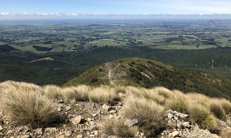 Mt Oxford Half, Canterbury