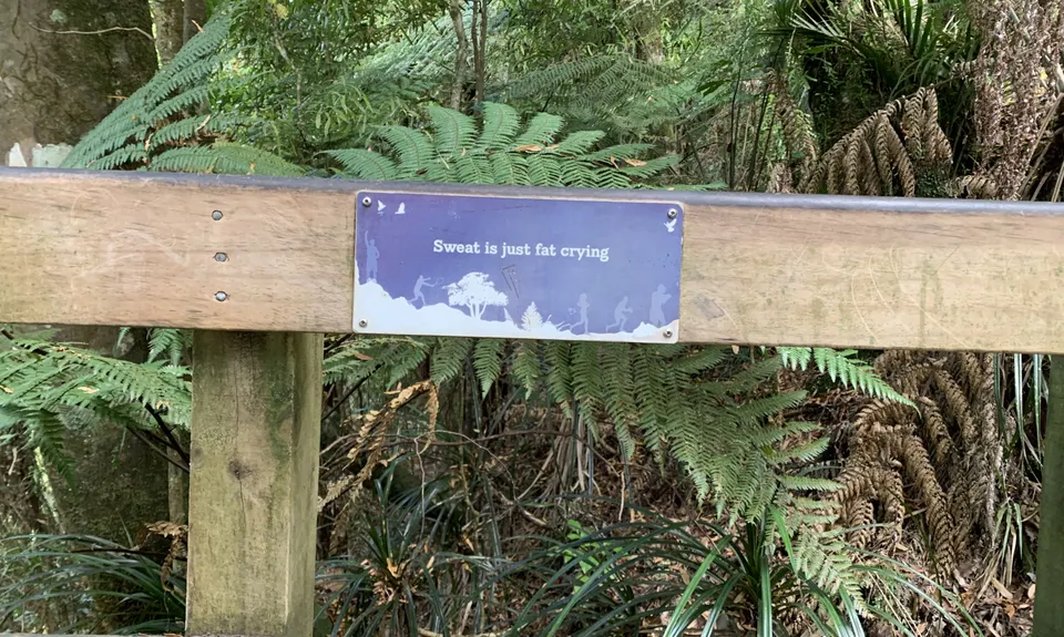 Hilly Hakarimata, Waikato
