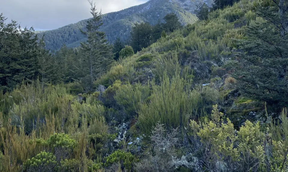 Mount Oxford Summit Scramble, Canterbury