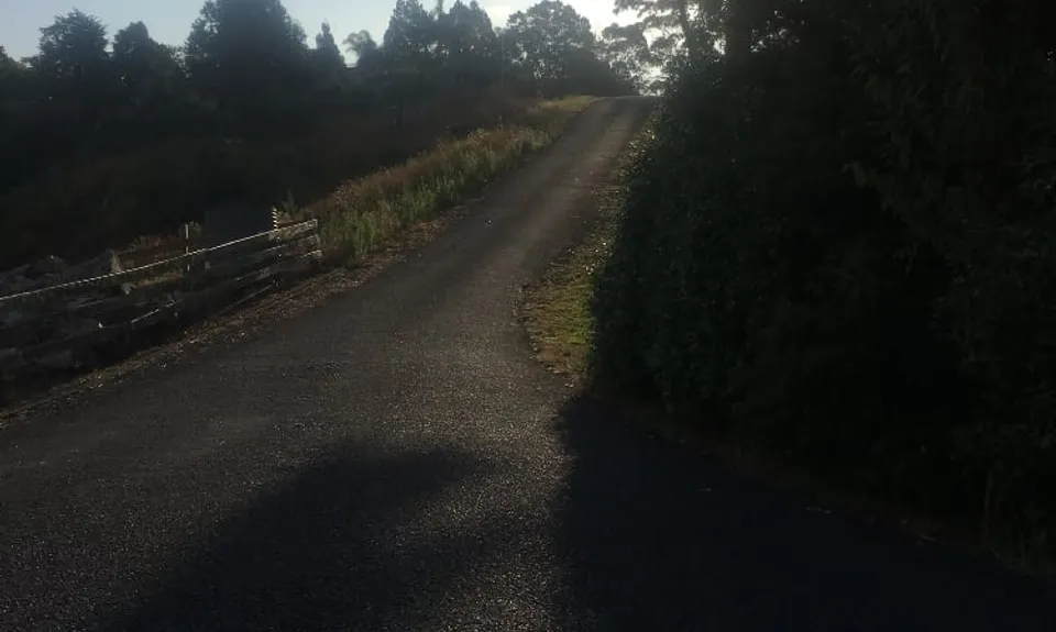 Mangemangeroa Track, Auckland