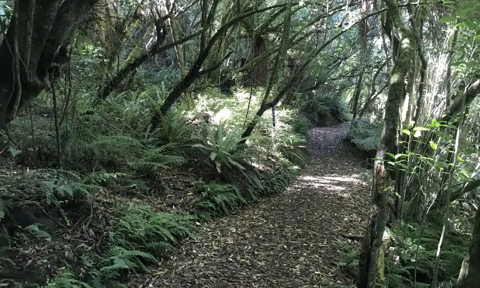Taieri Mouth Millenium Trail, Otago