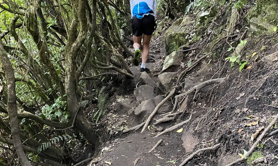 Tauhara Grunt, Waikato