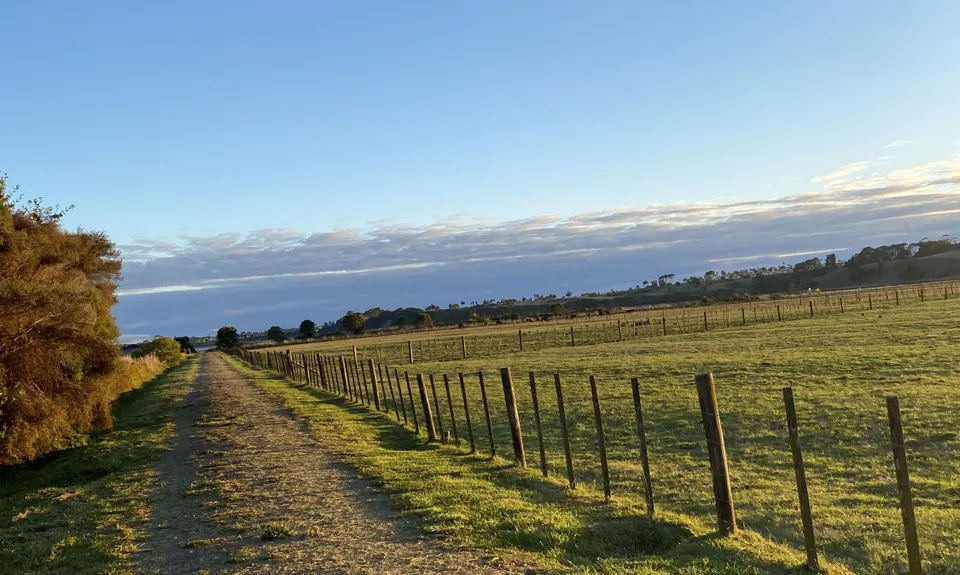 Whitford Coastal Trail Loop , Auckland