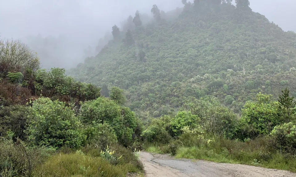 T42 Traverse , Manawatu - Wanganui
