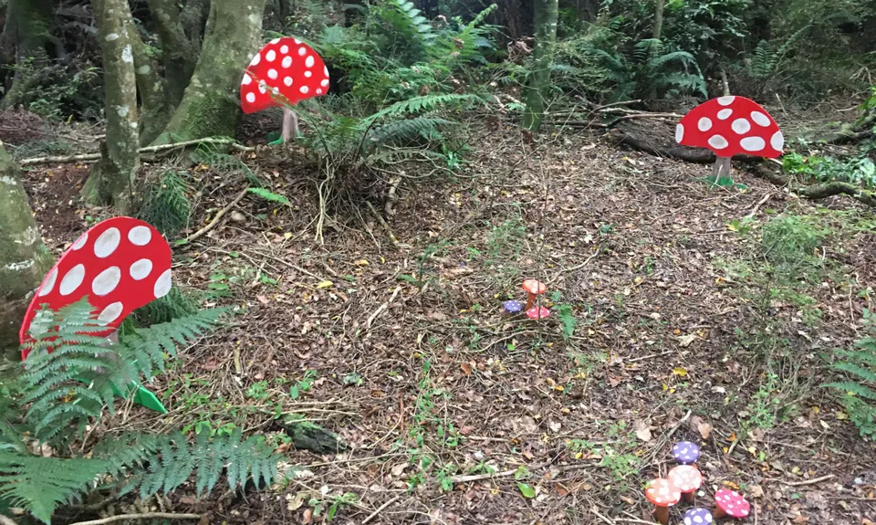 Mores Reserve Loop, Southland