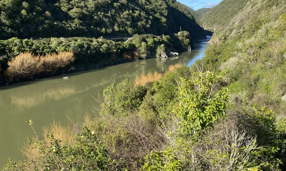 Tawa Loop - Manawatu Gorge, Manawatu - Wanganui
