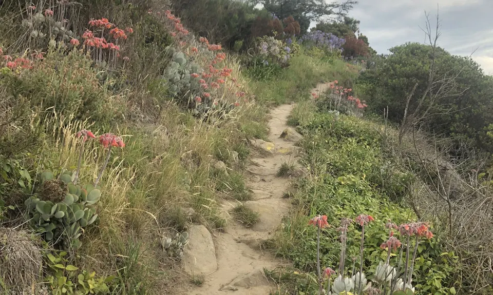 Coastal Cliff Candy, Canterbury