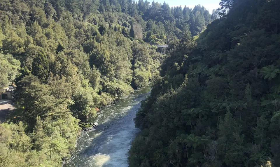 Little Waipa to Arapuni, Waikato
