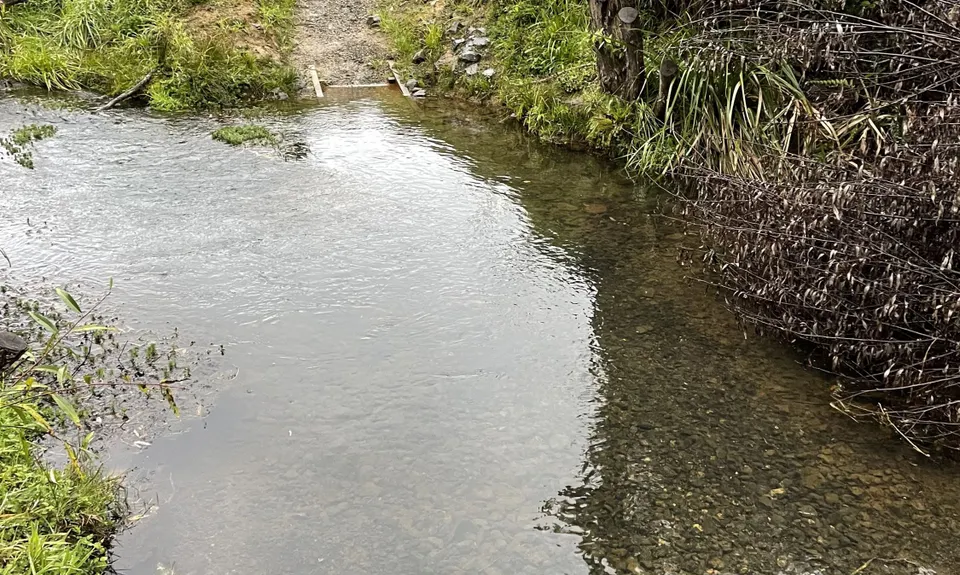 Hunua Hustle, Auckland