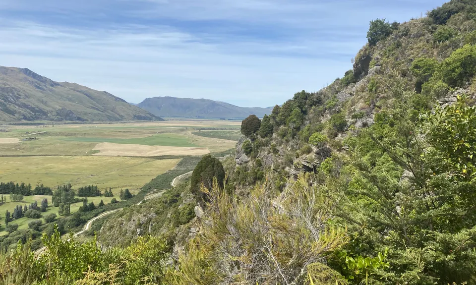 Shirt Tail Grunt, Otago