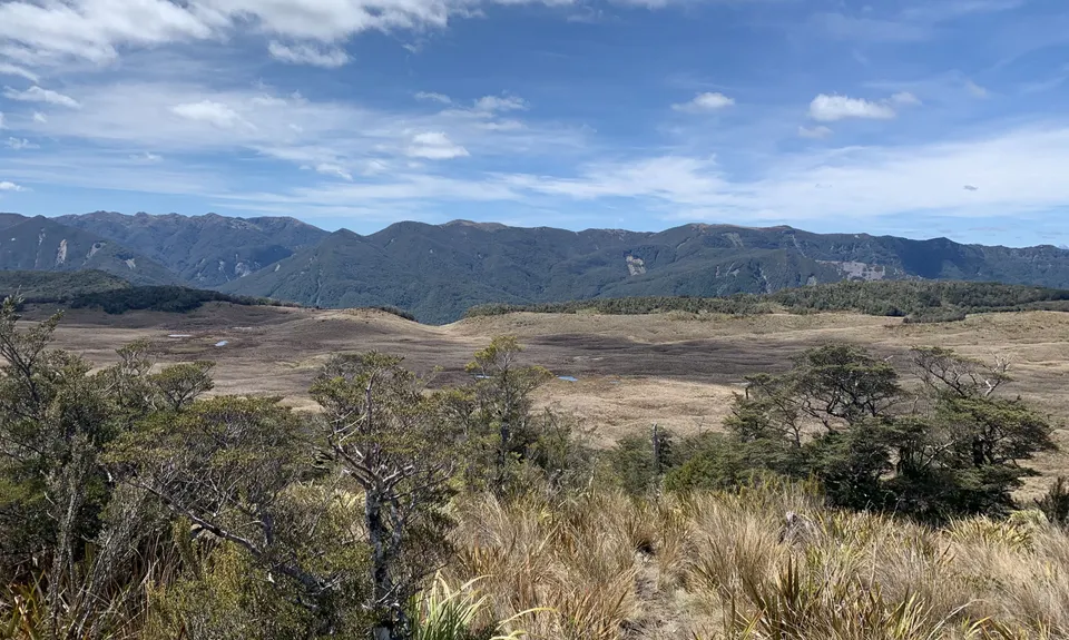 Poor Petes, Tasman