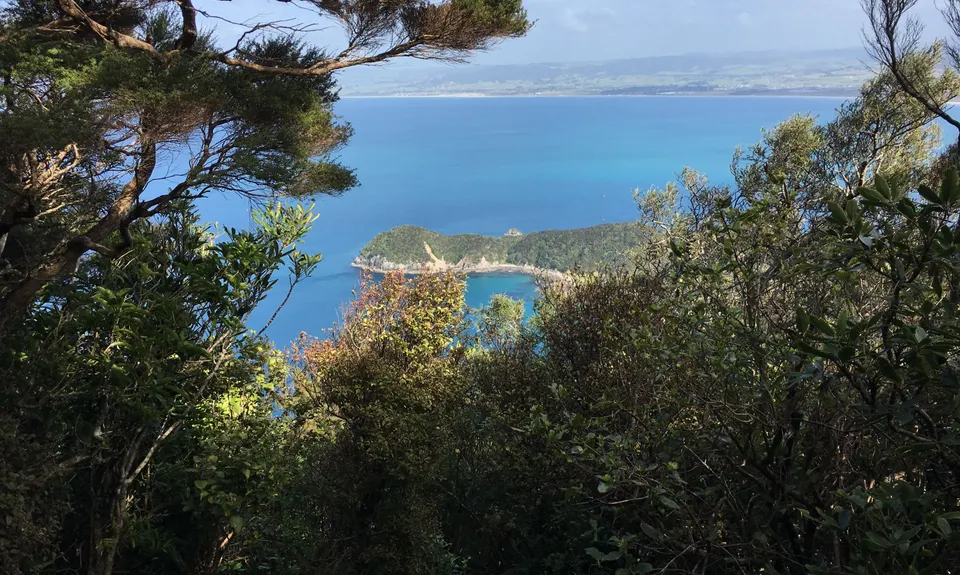 Bream Head Te Whara Trail, Northland