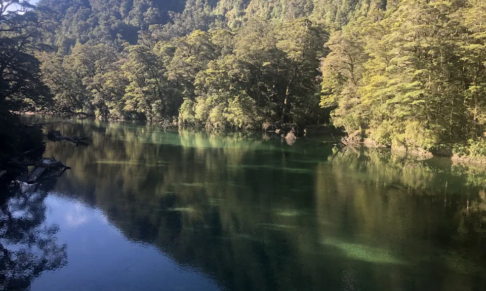 Milford Track , Southland