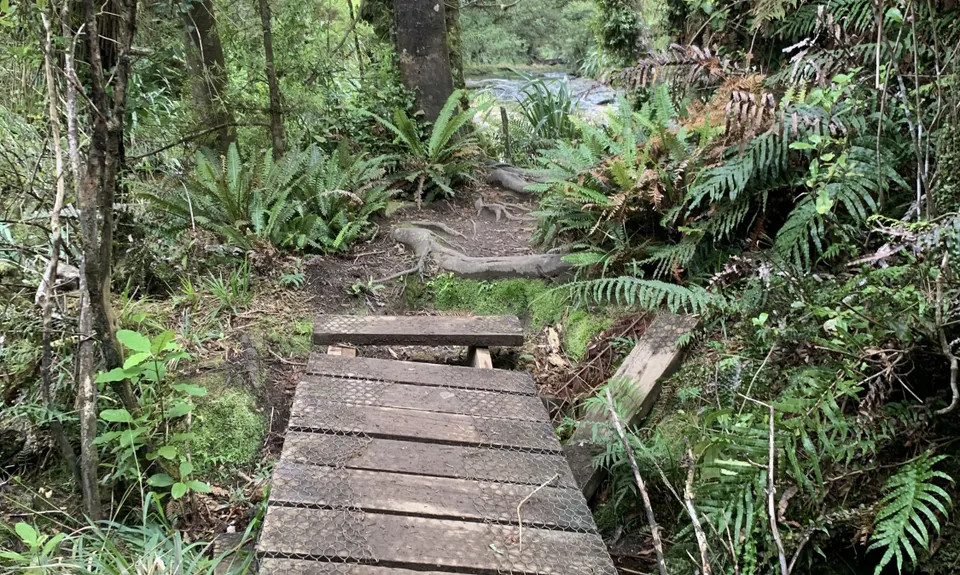 Te Tuhi Wairere Loop, Waikato