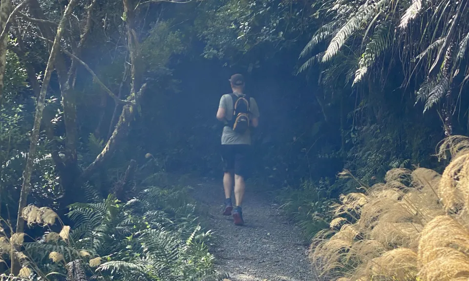 Sentinel Rock Scramble, Bay of Plenty