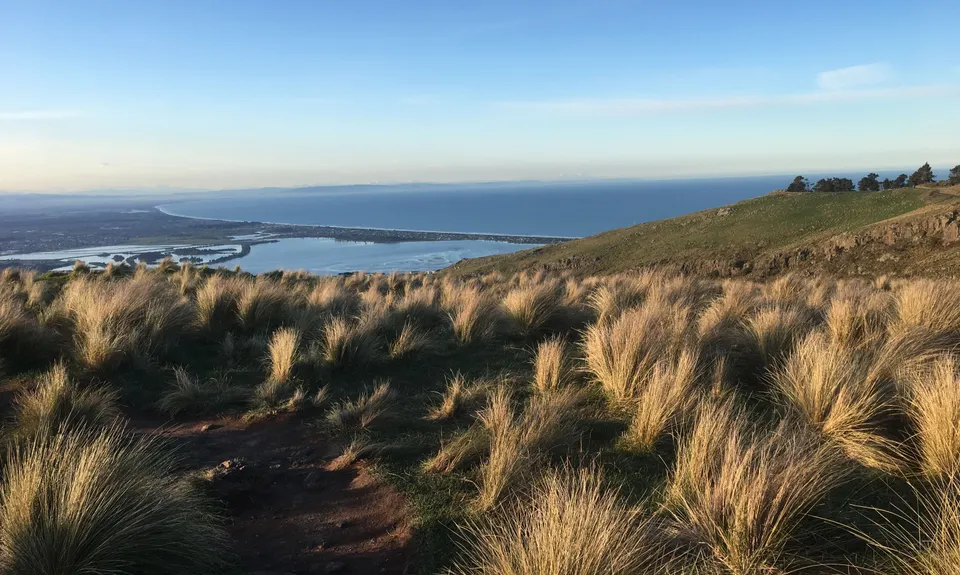 Lyttelton Semi-Circle, Canterbury