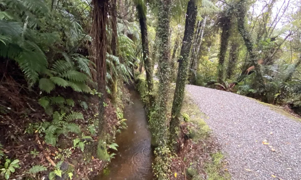 The Great Ross Gold Run, West Coast