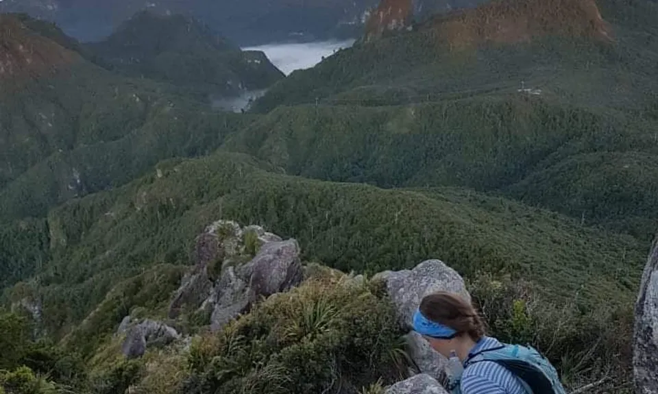 Pinnacles & Billy Goat, Waikato
