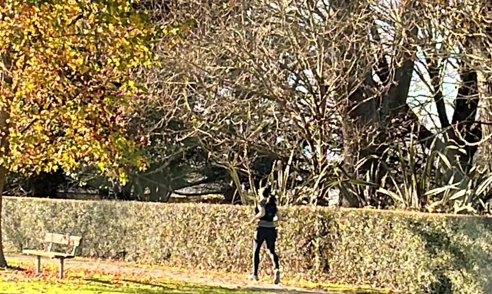 Flat out in Temuka - River Loop, Canterbury