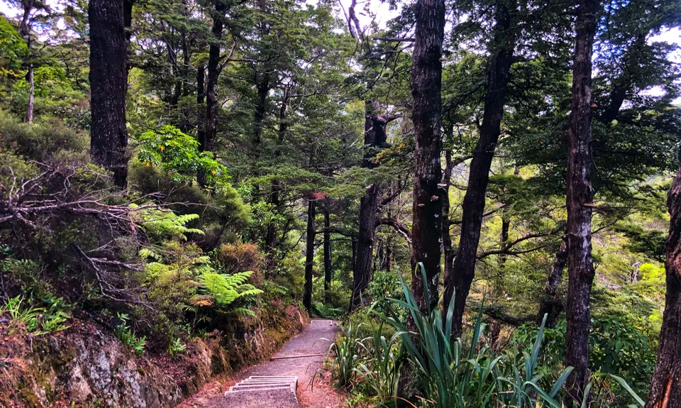 Butterfly Creek Loop, Wellington