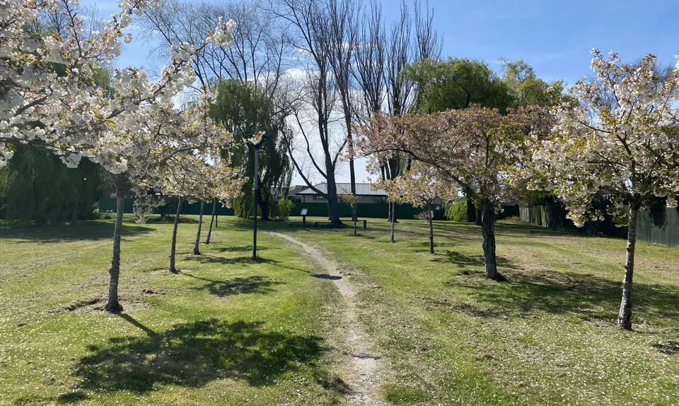 Taiora Track, Canterbury