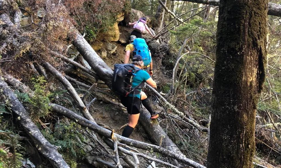 Earnslaw Burn Circuit, Otago