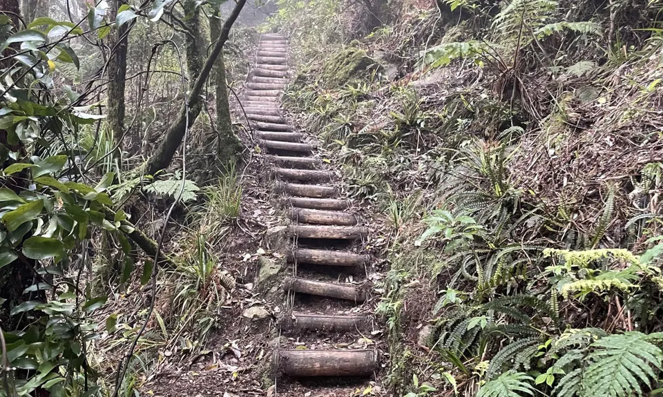 Te Aroha Summit Loop, Waikato