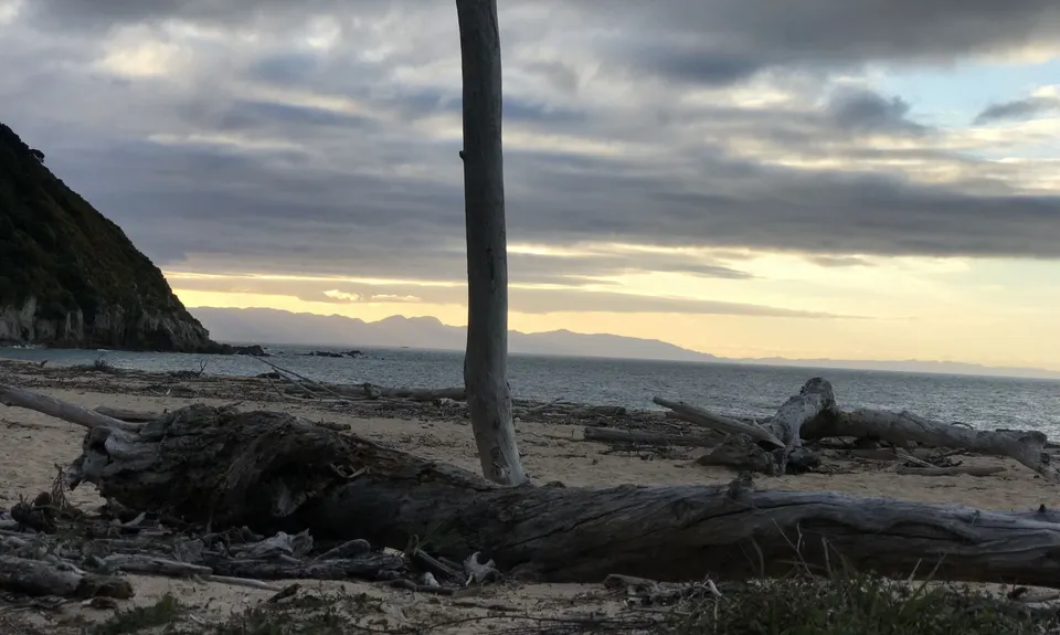 Gibbs Hill Loop, Tasman