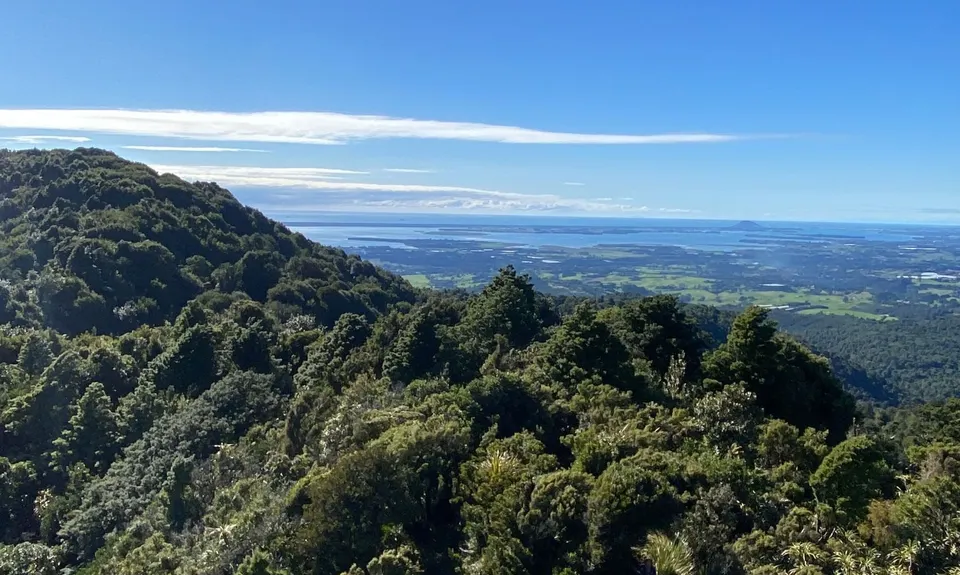 Sentinel Rock Scramble, Bay of Plenty